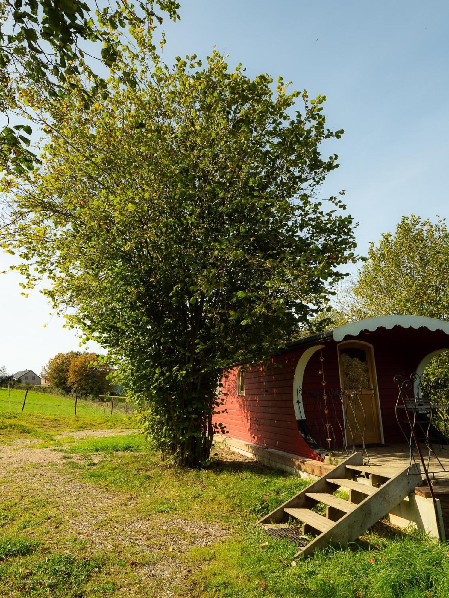 La Tiny House De La Bergerie Villa Lierneux Exterior foto